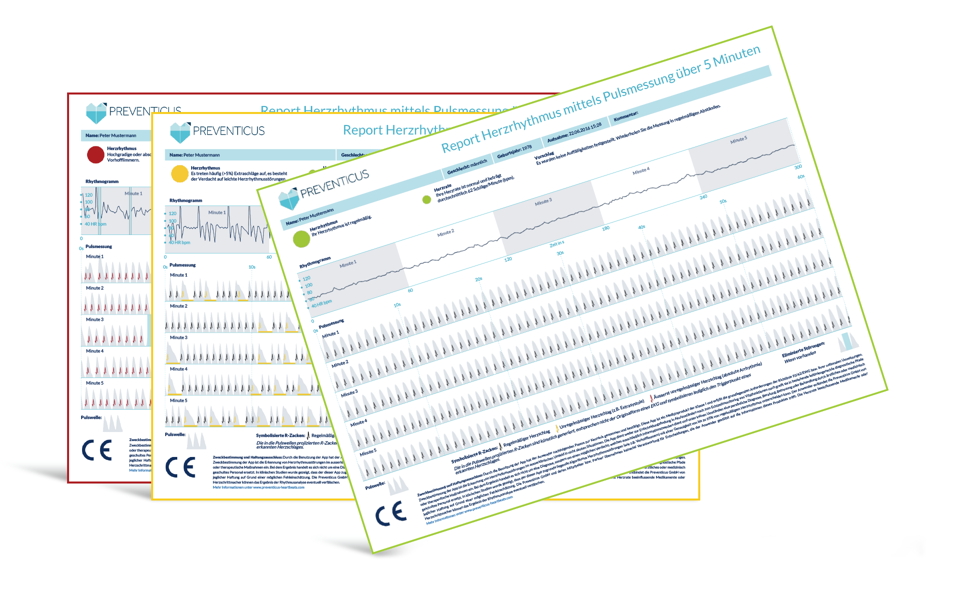 Komposition_Igel_PDF_Report_deu